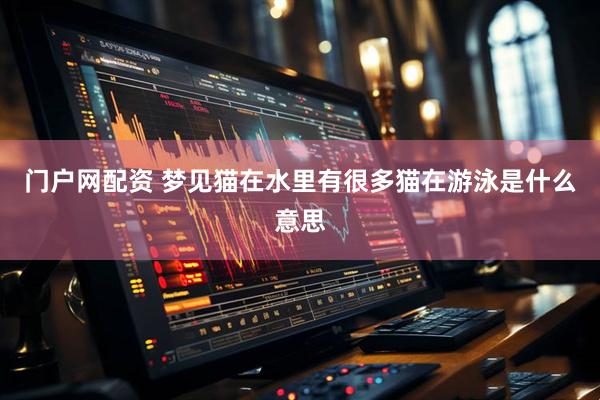 门户网配资 梦见猫在水里有很多猫在游泳是什么意思