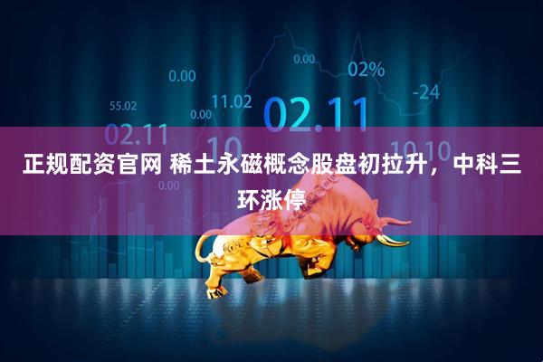 正规配资官网 稀土永磁概念股盘初拉升，中科三环涨停