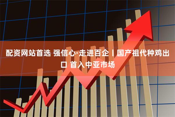 配资网站首选 强信心·走进百企丨国产祖代种鸡出口 首入中亚市场