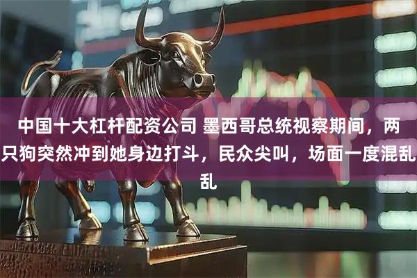 中国十大杠杆配资公司 墨西哥总统视察期间，两只狗突然冲到她身边打斗，民众尖叫，场面一度混乱
